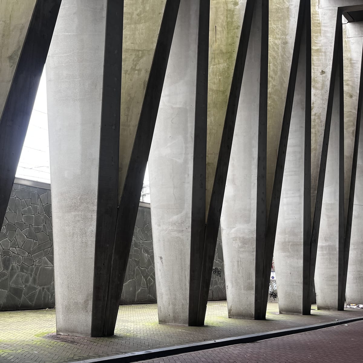 AMSTERDAM'S NEWEST HOTSPOT RENDERS VISITORS SPEECHLESS