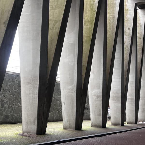AMSTERDAM'S NEWEST HOTSPOT RENDERS VISITORS SPEECHLESS